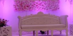 مكاتب افراح بالكويت متخصصة لزينة الافراح والاعراس والحفلات